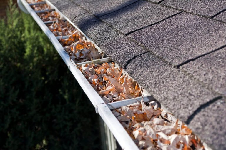 leaves in roof gutter